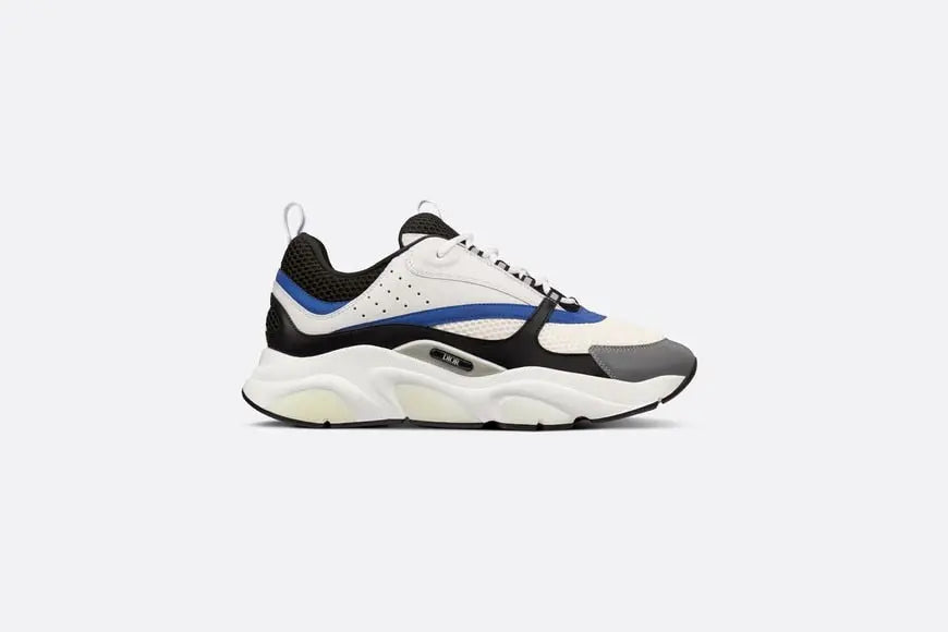 Dior B22 Bleu & Blanc Givré