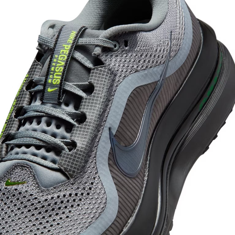 Nike Pegasus Premium 41 Gris & Vert