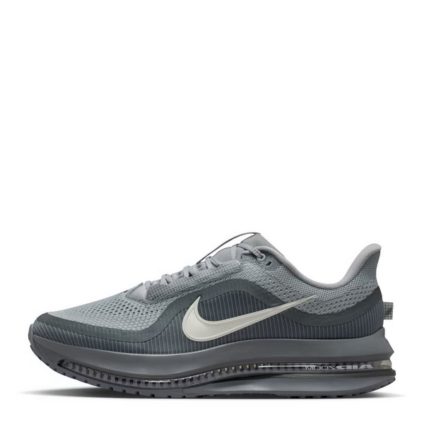 Nike Pegasus Premium 41 Gris