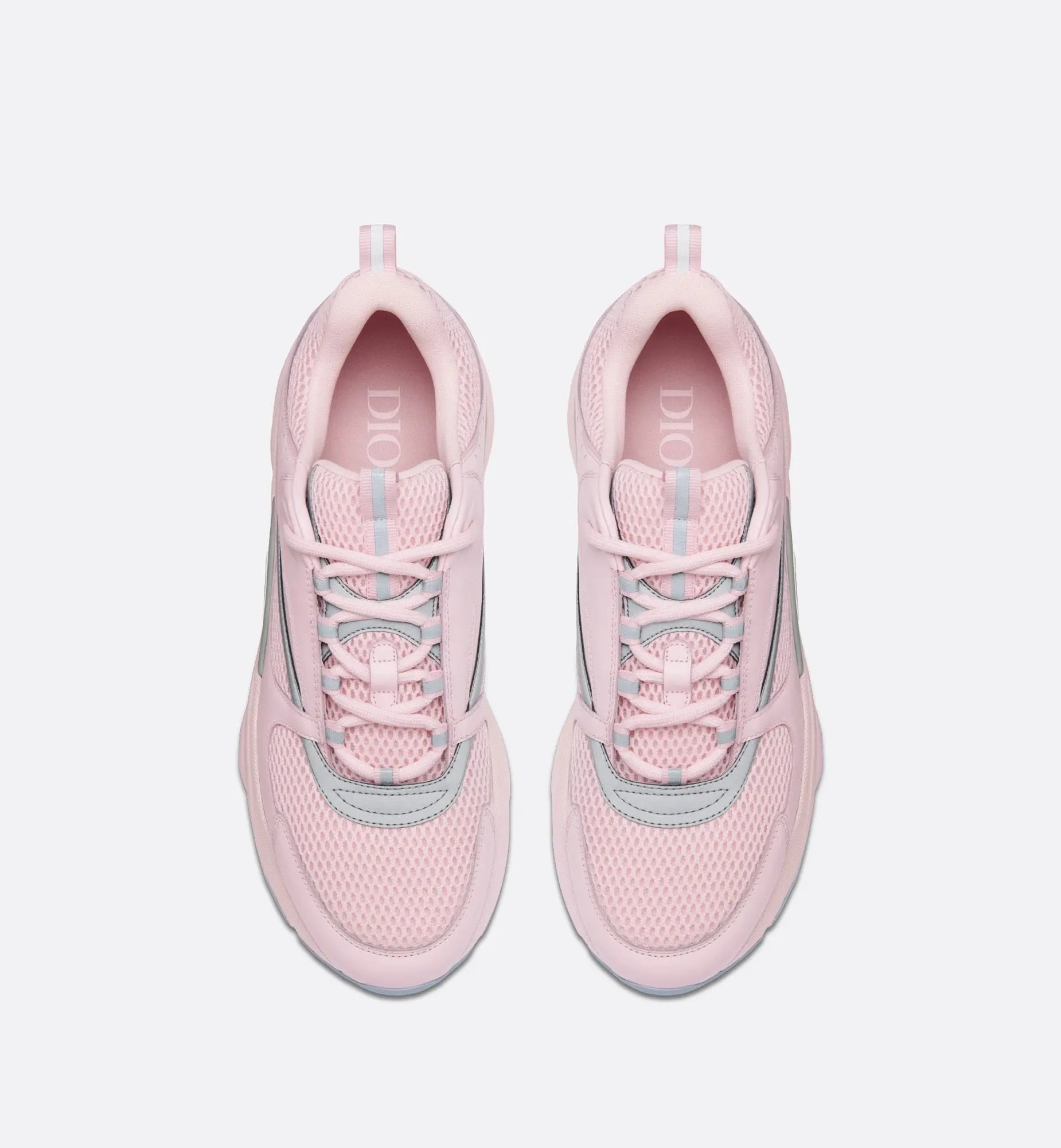 Dior B22 Rose