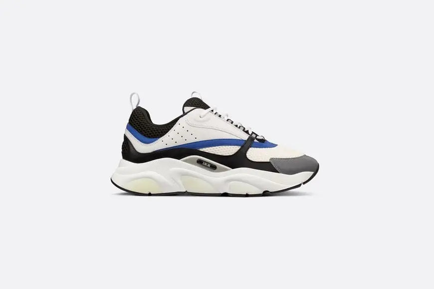 Dior B22 Bleu & Blanc Givré