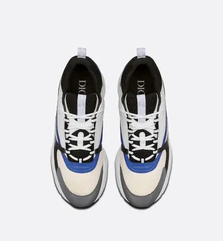 Dior B22 Bleu & Blanc Givré