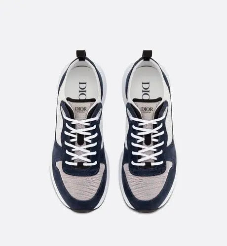 Dior B25
