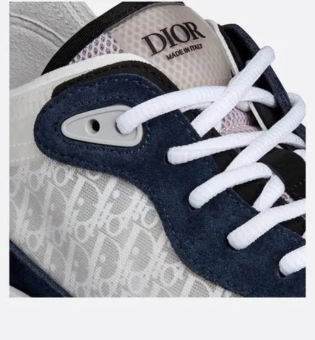 Dior B25