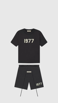 Ensemble FitsnDrip 1977